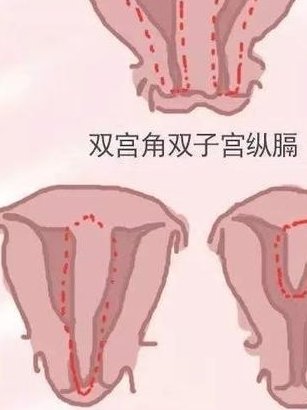 2026年想去福泉市做试管婴儿需要准备哪些事？详细收费明细一览