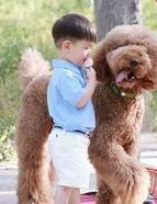 沈阳有三代试管的医院吗？沈阳妇幼医院的第三代试管婴儿费用多少？