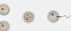 哈萨克斯坦三代试管婴儿成功率高的医院排名公布其中3家声誉良好的医院