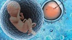 河北能行三代试管婴儿机构地址