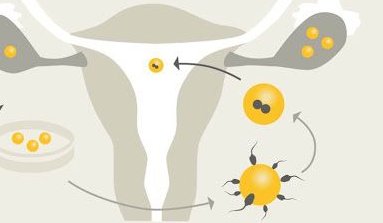 中山博爱医院做三代试管费用大概要多少钱？