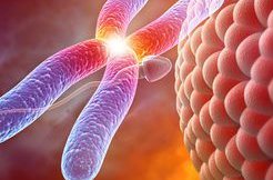 山东潍坊正规的助孕公司都有哪些？潍坊市助孕三大知名机构详细介绍