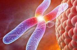 三代试管婴儿全攻略，从开始到成功，一步步详解所需时间与流程